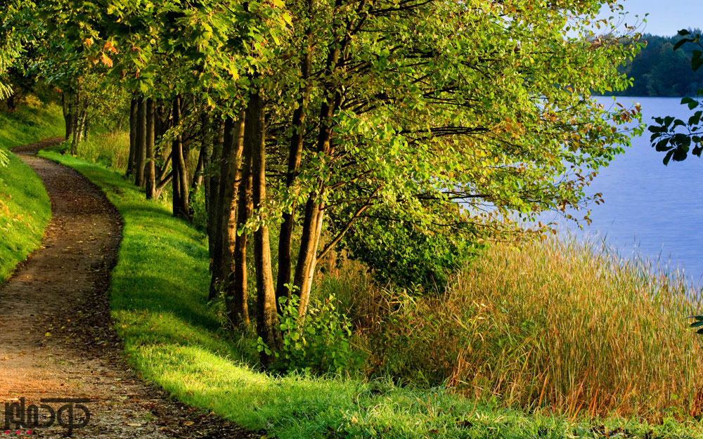 مسیری پر از فراز و نشیب در طبیعت گردی