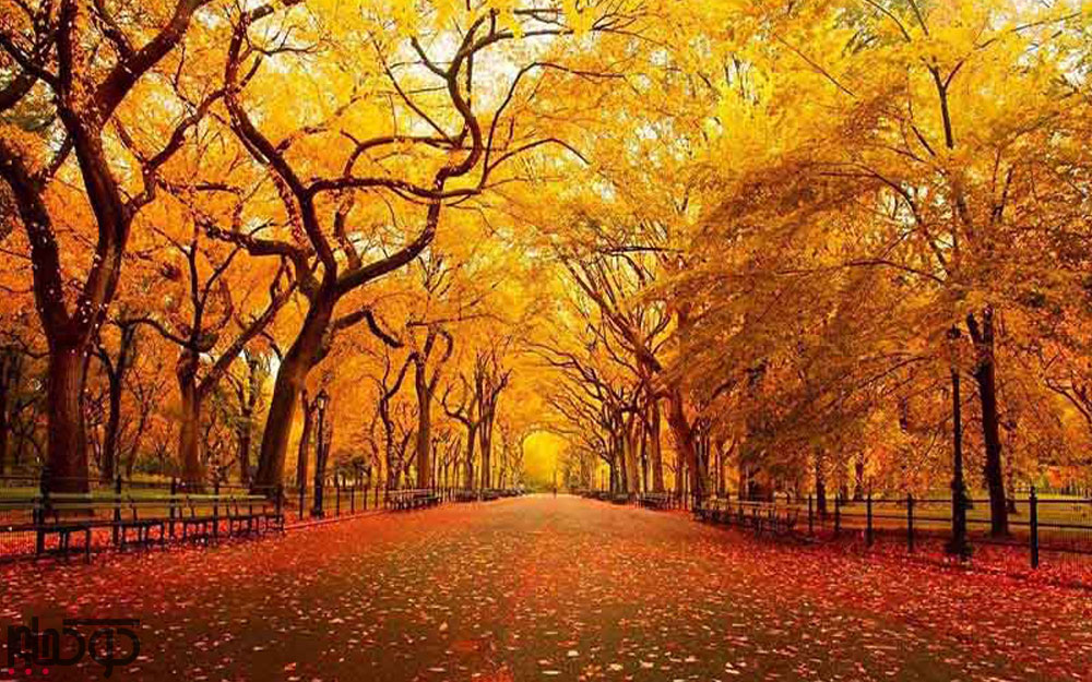 بهترین مقاصد داخلی برای سفر در پاییز؛ پاییز کجا بریم؟